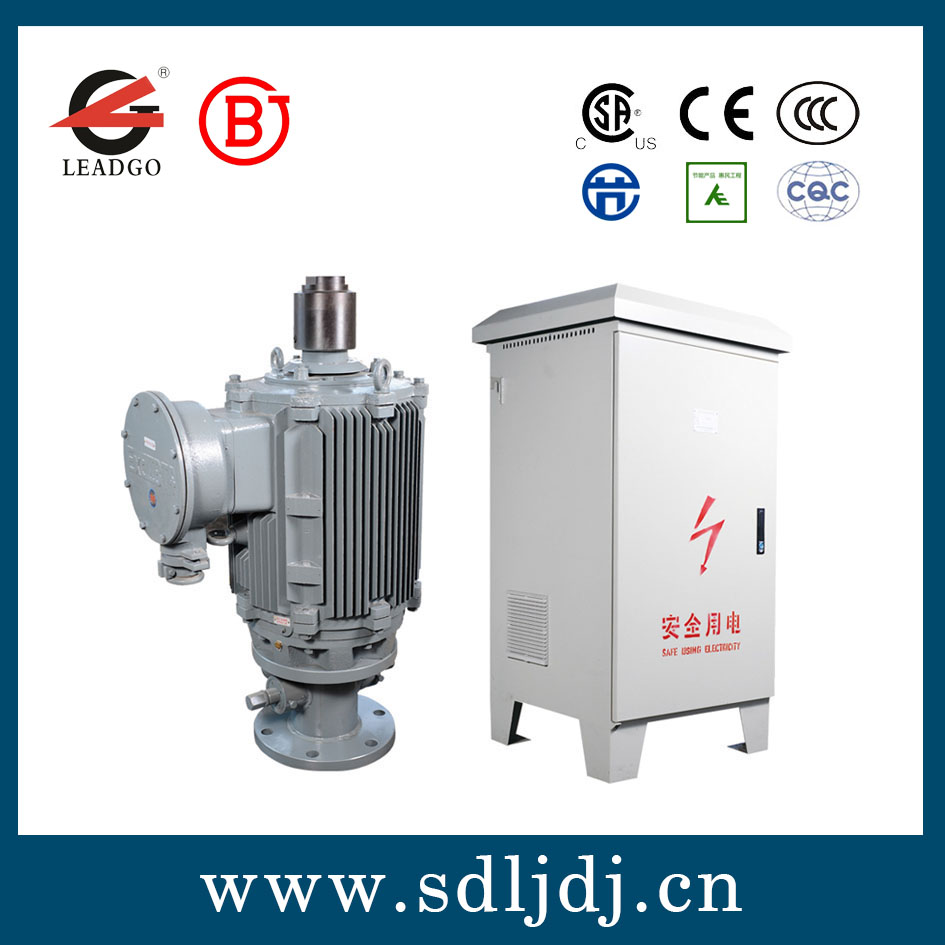 油田專(zhuān)用永磁同步電機(jī)
