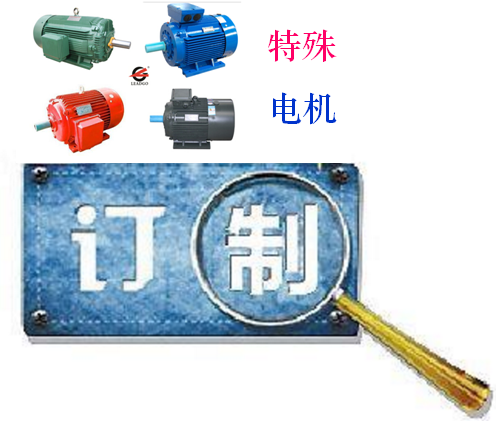 永磁電機(jī)、特殊電機(jī)定制